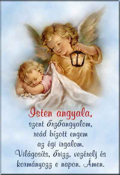 rma-004.jpg rma-004.jpg